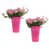 Rose vif