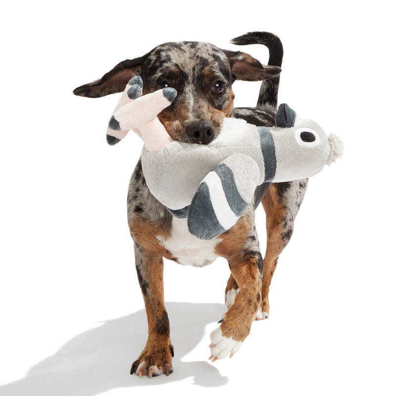 Best Of Bark Box Accessories