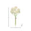 Ensemble de 14 po Scabiosa-1510372599