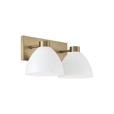 Ross 2 - Light Dimmable Vanity Light
