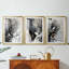 ANIMALS Series Lxxx - impression encadrée sur mesure de qualité supérieure - 3 pièces-890103561-890103565