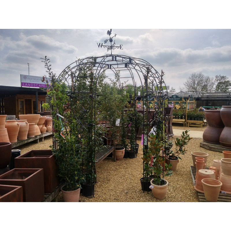Cowanda 2.44m x 2.44m Metal Patio Gazebo