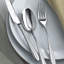 Dream Stainless Steel Serving Spoon