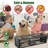 15.35x4.72x3.94in 2-Door Humane Live Rat Trap-1549269007