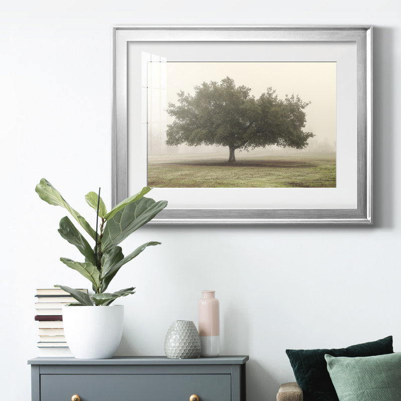«Trees In The Fog II», reproduction encadrée de qualité supérieure - prête à être accrochée, H 30,5 po x l 42,5 po x P 1 po