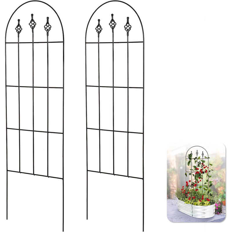Serafina 48'' H x 16'' W Trellis