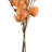 Preserved Cara Blossom Arrangement-94734870