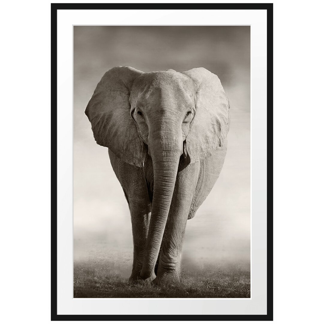 Gerahmtes Poster Elefant in Savanne