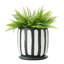 Suri Terracotta Planter Box