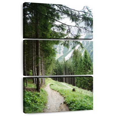 Alvord Mountain View 16