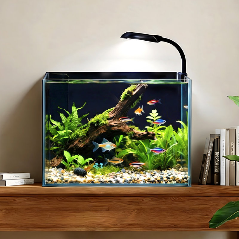 Ensemble d'aquarium en verre pour aquarium 2,5 gallons avec filtre, lumières, caillou pour poisson, poisson rouge ou petit poisson, cadeaux