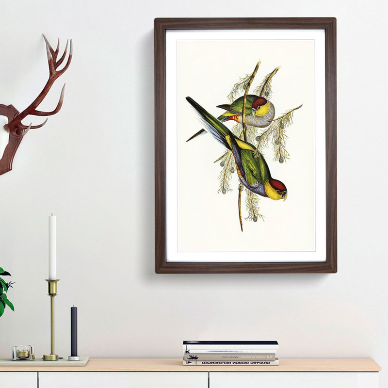 Red-Capped Parakeets by Elizabeth Gould - Picture Frame Painting Print, 36cm H x 27cm W x 2cm D, Walnut Framed