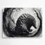 Faune, art mural gris pangolin-177831962