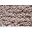 Ashtyn Rectangle Area Rug-425982187