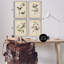  «Vintage Study Birds & Plants», ensemble de 4 giclées par Wild Apple-1205012036-1205012033