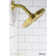 Contempra Volume Control Shower Faucet
