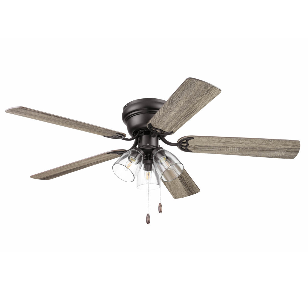 Renton 52'' Ceiling Fan with Light Kit Prominence Home 