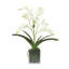 Faux Orchid Plant In White Vase-1999902369