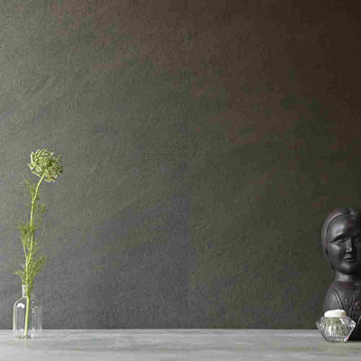 Panneau de papier peint gris anthracite Topío