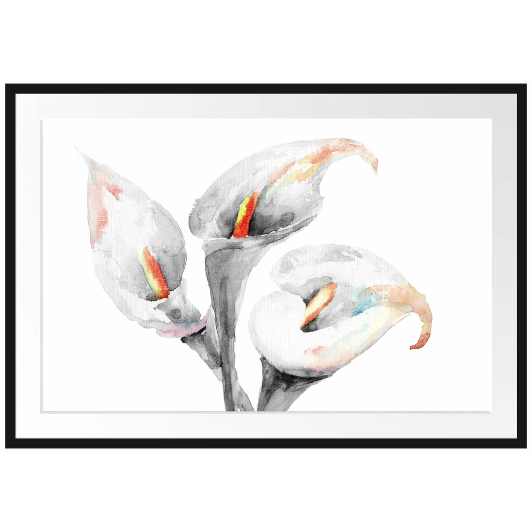 Gerahmtes Poster Callas Aquarellblüten