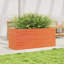 3 Wood Planter-100492006-100492017
