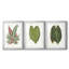 Feuilles de collection IV - impression encadrée sur mesure de qualité supérieure - 3 pièces-92255236-92255238