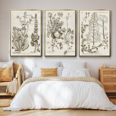 «Sepia Botanical Journal IV», ensemble de 3 reproductions de photos sur toile