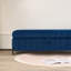 Banc de rangement rembourré en velours avec pieds en métal, idéal pour le salon-1490920207
