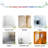 Insects Wall Decal-704444238