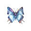 Vibrant Butterfly IV Print by Beverly Fuller-26928304-26928305