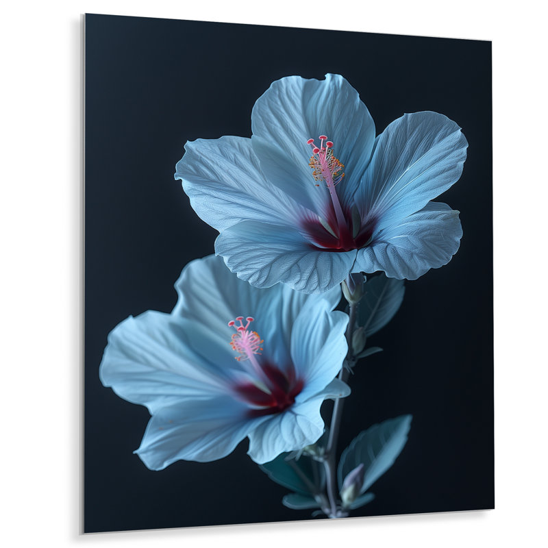 «Blue Crystal Hibiscus Botanical Beauty IV - Hibiscus», reproduction d'art murale, Cadre photo noir, H 32 po x l 24 po