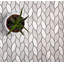 Carrelage mosaïque en marbre 11,8 x 12-61060231