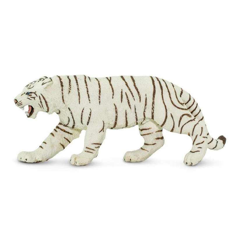 Tigre blanc du Bengale