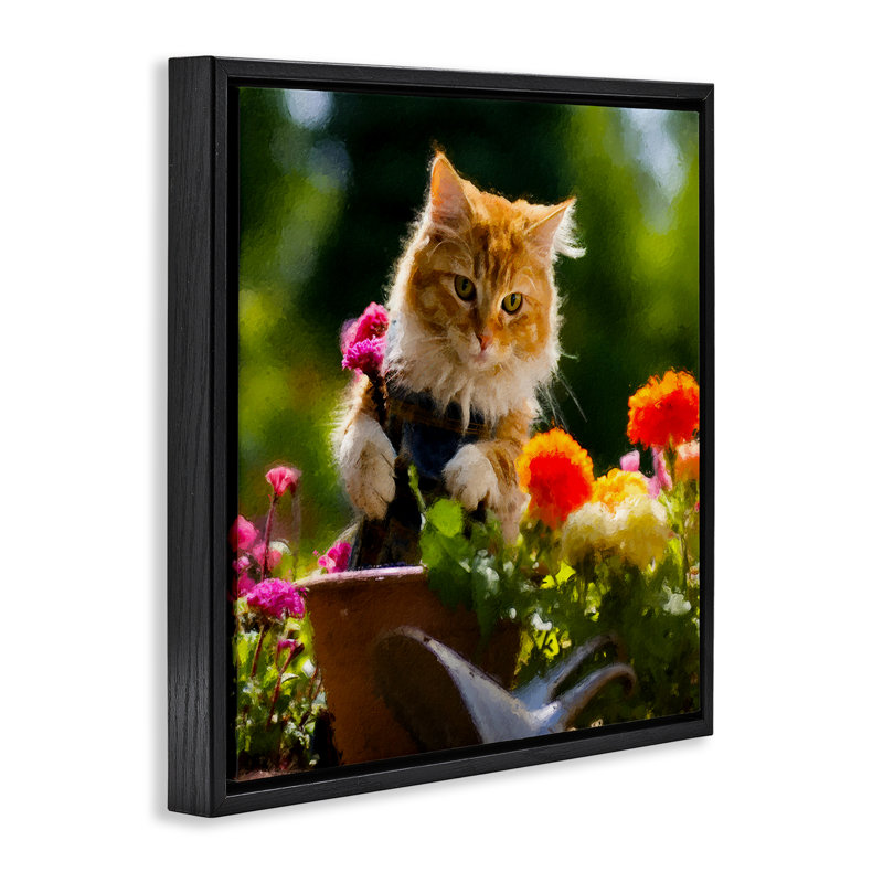 «Spring Gardener Kitten» par Sean Parnell, Cadre flottant noir de jais, H 18 po x l 18 po