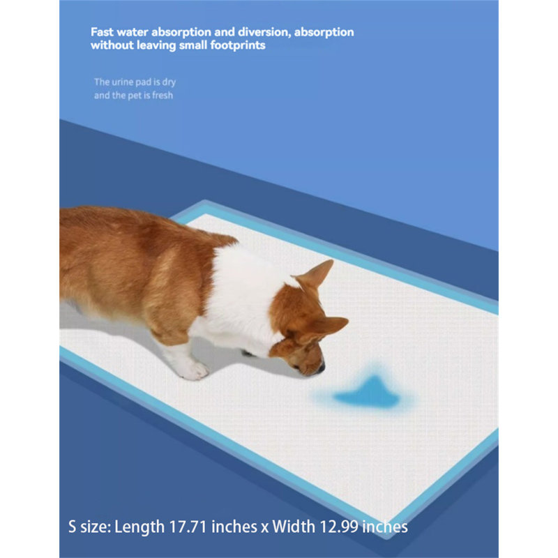 Tapis pour chien (ensemble de 80)
