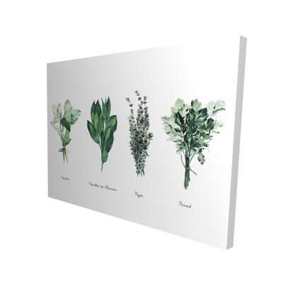 Fines herbes - Toile botanique florale pour la décoration intérieure
