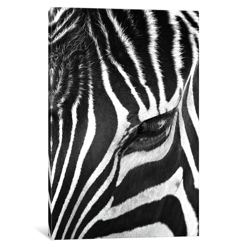 Zebra Stare by Bob Larson - Print on Canvas, Wrapped Canvas, 66.04 cm H x 45.72 cm W x 1.91 cm D