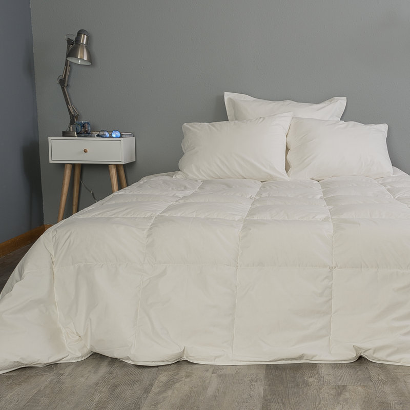  Édredon en duvet moyen C105, Blanc, Grand édredon