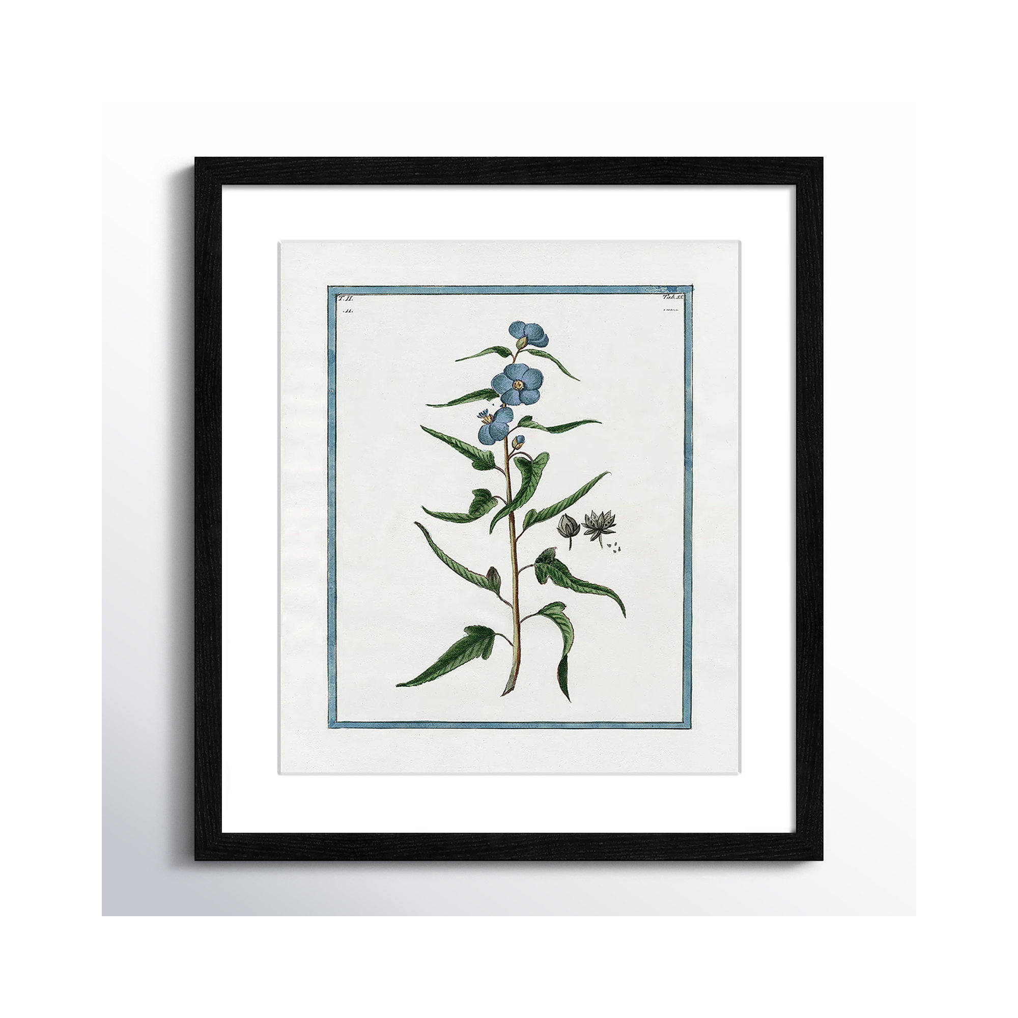 Shabby Elegance Botanical I - Framed Art Full Bleed, 13" W x 15" H, Black Framed