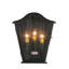 Austin 3 - Light Flush Mounted Sconce