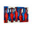 Vases rouges et bleus disposés en rangées-300330924-300330927-300330920
