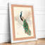 Peacock with Botanicals Japandi - Framed Print-661770082-661770075