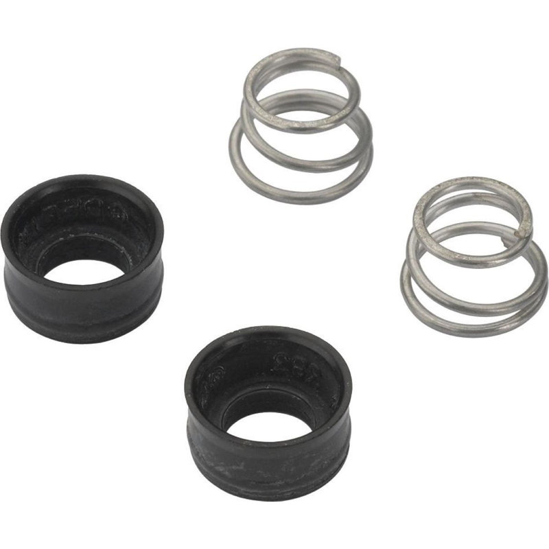 Seat and Spring Replacement