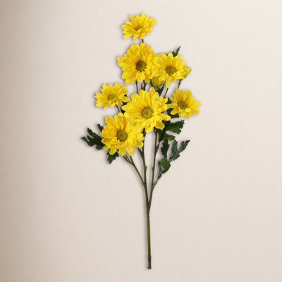 Daisy Floral Stems