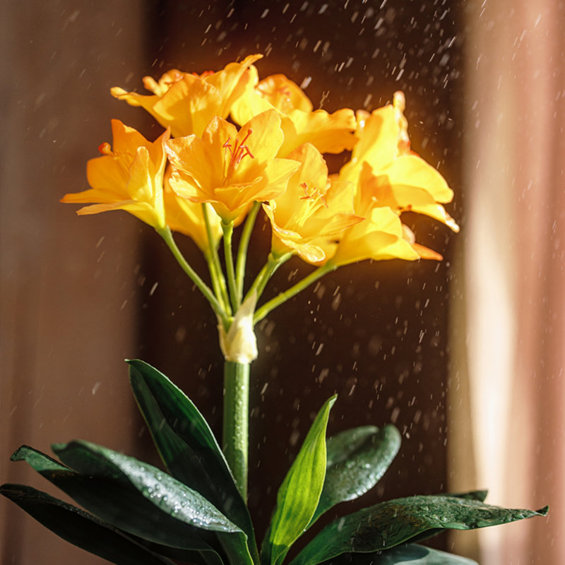 Simulations de décorations florales pour le salon