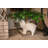Daniqua Scratching Post