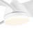 Jareem 28'' Ceiling Fan with LED Lights