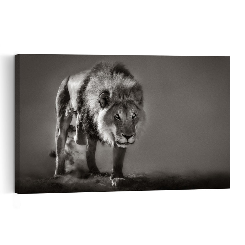 Powerful African Lion Dramatic Abstract Contemporary Cat Lion Wildlife Landscape Wall Art Print 1 Piece Wrapped Canvas Wall Art