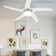 Kitt 128cm Ceiling Fan with Light Kit