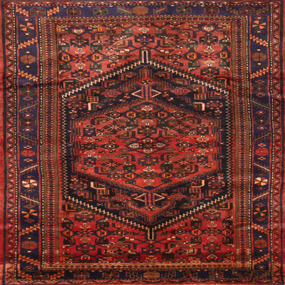 Oriental Indoor Rug